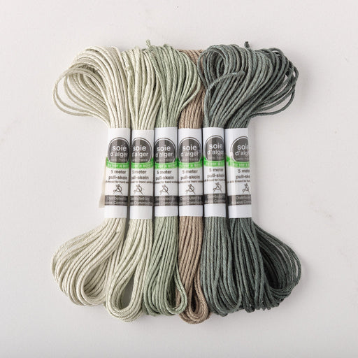 Soie d’Alger Embroidery Silk – "Sevres" Shades 3421–3426 | Au Ver à Soie - HM Nabavian