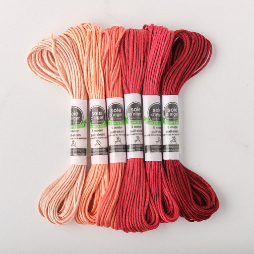 Soie d’Alger Embroidery Silk – "Terre Cuite" Shades 2641–2646 | Au Ver à Soie - HM Nabavian