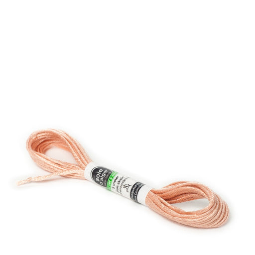 Soie d’Alger Embroidery Silk – "Terre Cuite" Shades 2641–2646 | Au Ver à Soie - HM Nabavian