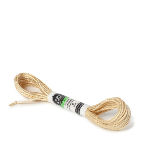 Soie d’Alger Embroidery Silk – "Tigre" Shades 3821–3826 | Au Ver à Soie - HM Nabavian