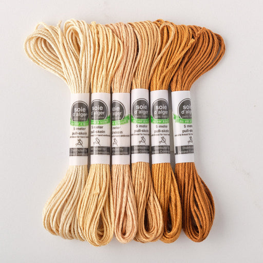 Soie d’Alger Embroidery Silk – "Tigre" Shades 3821–3826 | Au Ver à Soie - HM Nabavian