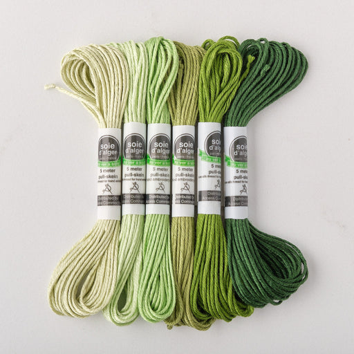 Soie d’Alger Embroidery Silk – "Vert Laurier" Shades 2211–2216 | Au Ver à Soie - HM Nabavian