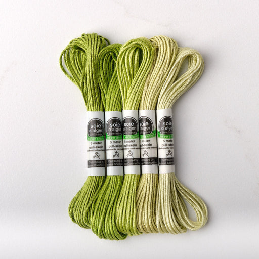 Soie d’Alger Embroidery Silk – "Vert Lys" Shades 241–245 | Au Ver à Soie - HM Nabavian
