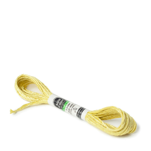 Soie d’Alger Embroidery Silk – "Vert Raisin" Shades 2141–2146 | Au Ver à Soie - HM Nabavian