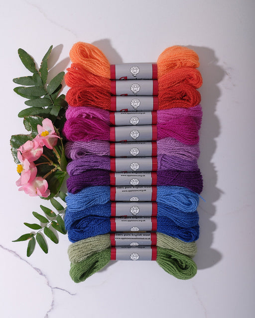 Tropical Bloom – Appletons Crewel Skein Wool Bundle (13 Skeins) - HM Nabavian