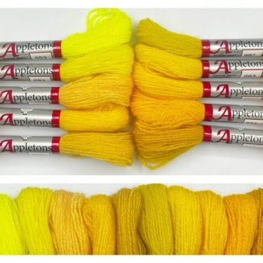 Yellows _Appeltons Crewel Wool 2 Ply Skein Bundle - HM Nabavian
