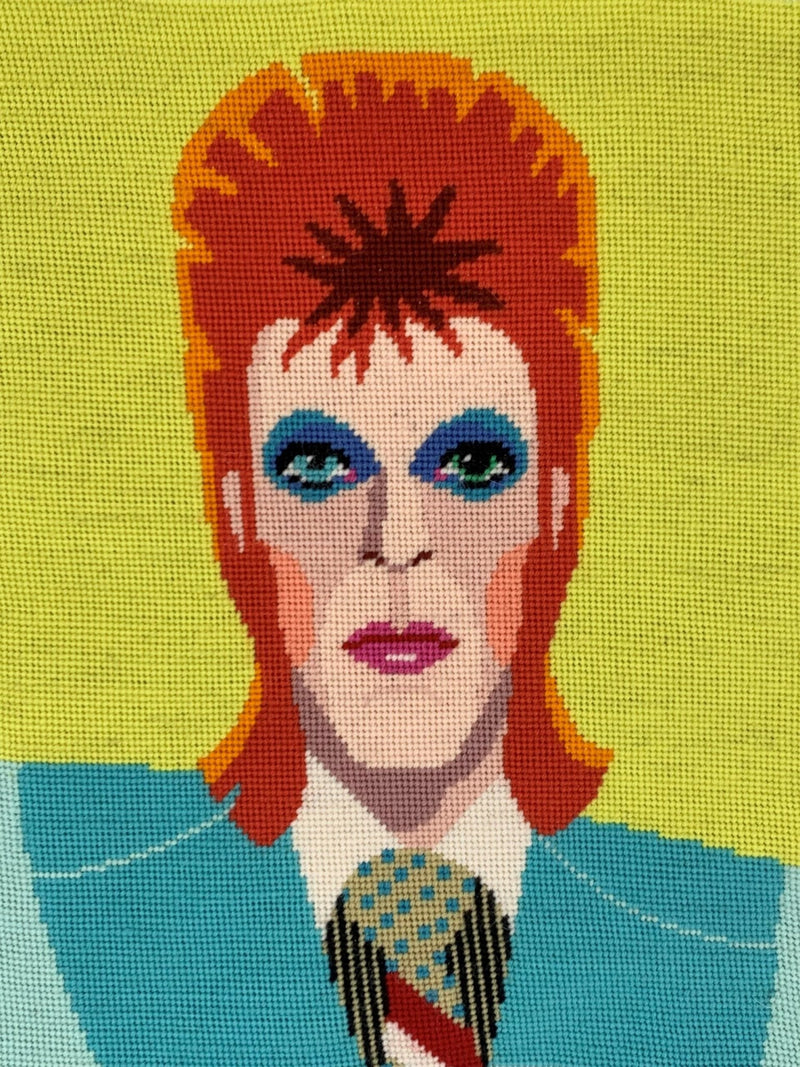 Appletons Kits – Portraits Range David Bowie - HM Nabavian