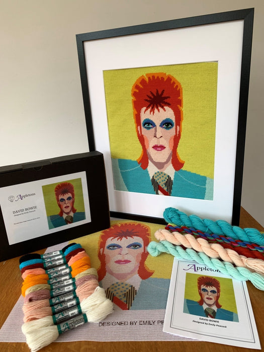 Appletons Kits – Portraits Range David Bowie - HM Nabavian