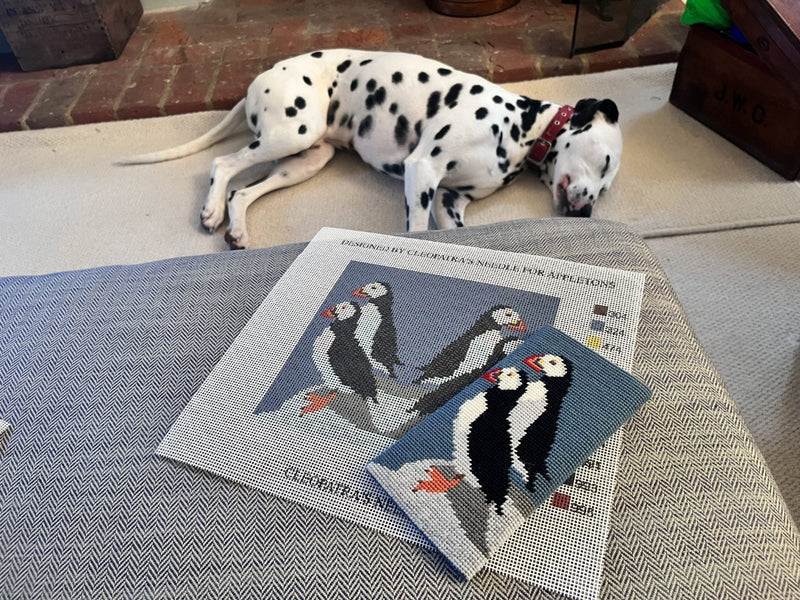 Appletons Kits - UK Range Puffins Glasses Case - HM Nabavian