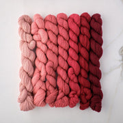 Appletons Wool Yarn - Bright Terra Cotta 221 - 227 - HM Nabavian