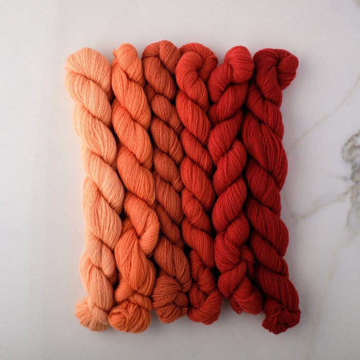 Appletons Wool Yarn - Coral 861 - 866 - HM Nabavian