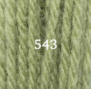 Appletons Wool Yarn - Early English Green 541 - 548 - HM Nabavian