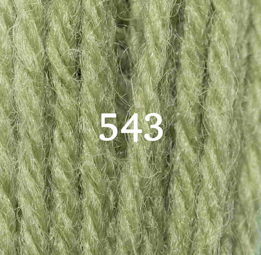 Appletons Wool Yarn - Early English Green 541 - 548 - HM Nabavian