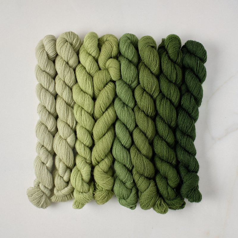 Appletons Wool Yarn - Early English Green 541 - 548 - HM Nabavian