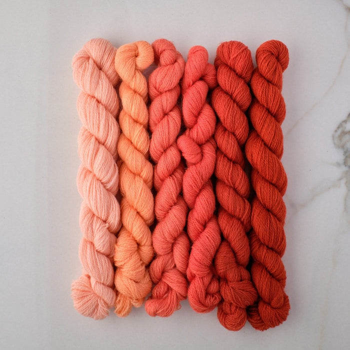 Appletons Wool Yarn - Flamingo 621 - 626 - HM Nabavian