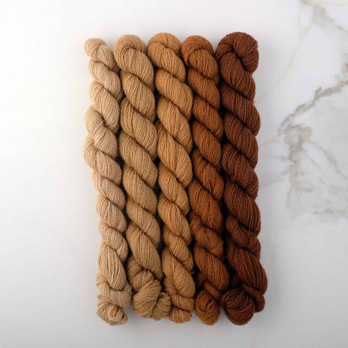 Appletons Wool Yarn - Golden Brown 901 - 905 - HM Nabavian