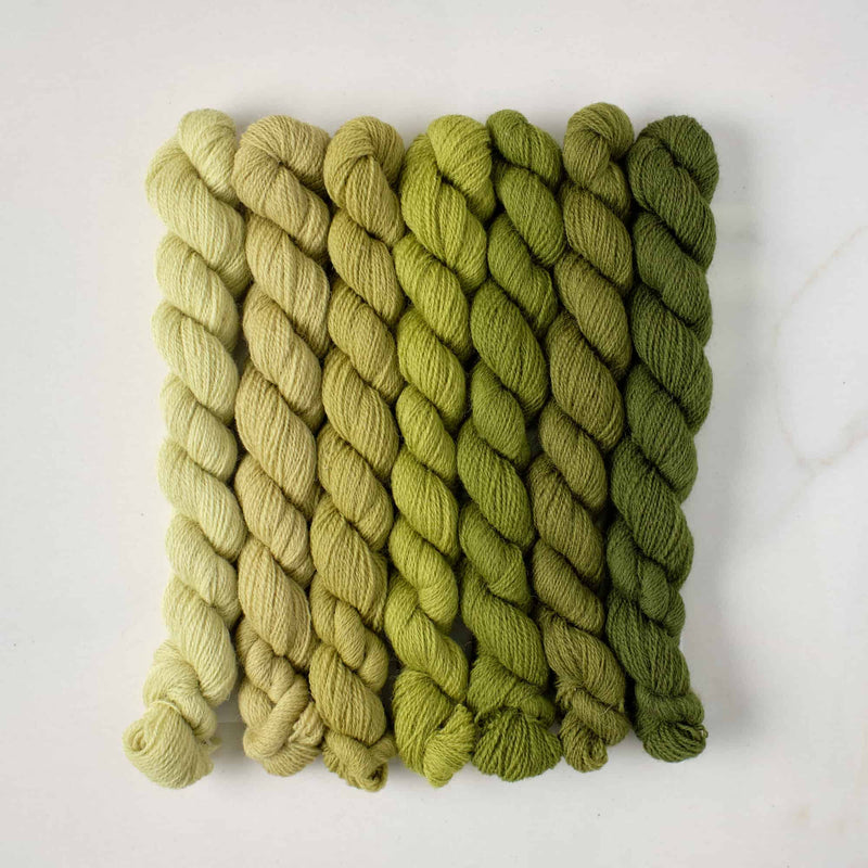 Appletons Wool Yarn - Grass Green 251 - 256 - HM Nabavian