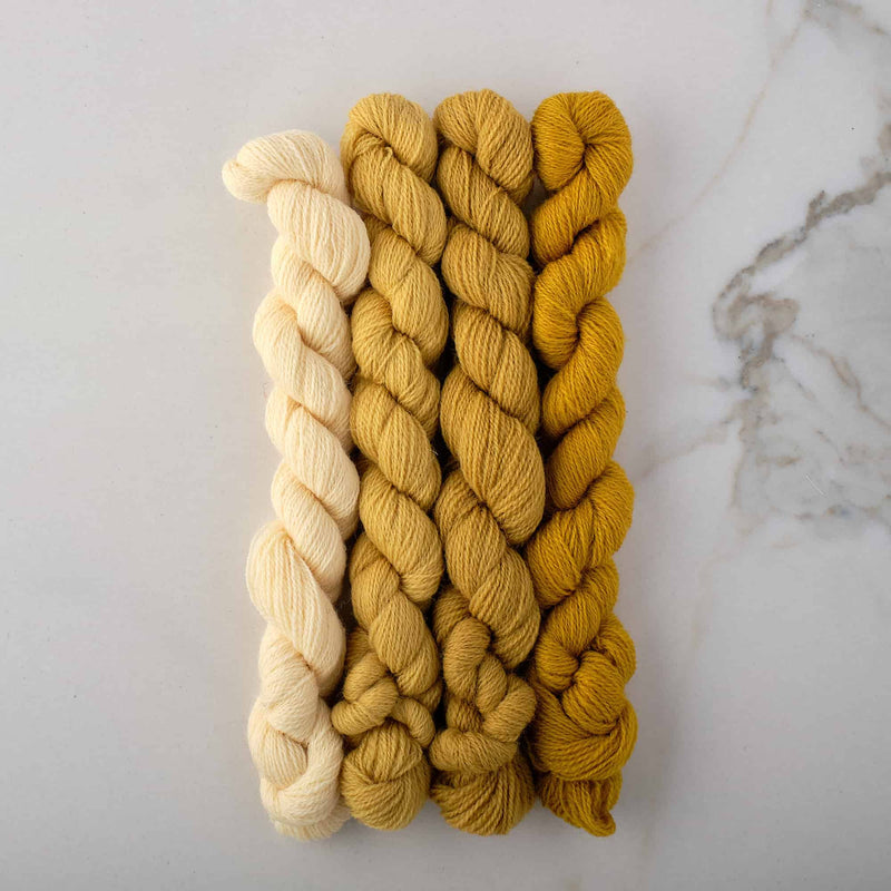 Appletons Wool Yarn - Heraldic Gold 841 - 844 - HM Nabavian