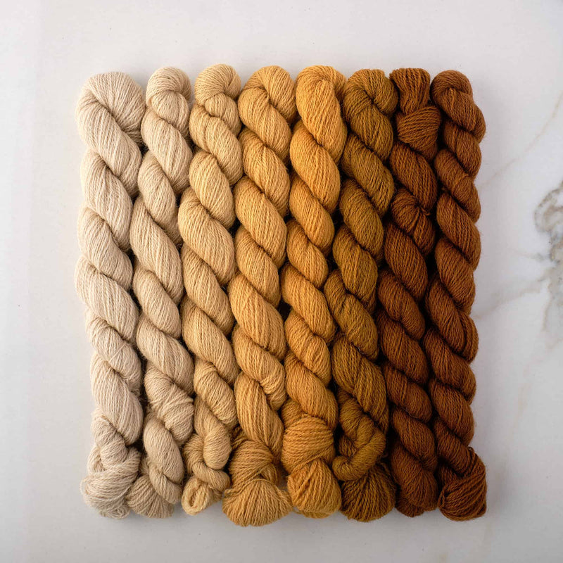 Appletons Wool Yarn - Honeysuckle Yellow 691 - 698 - HM Nabavian