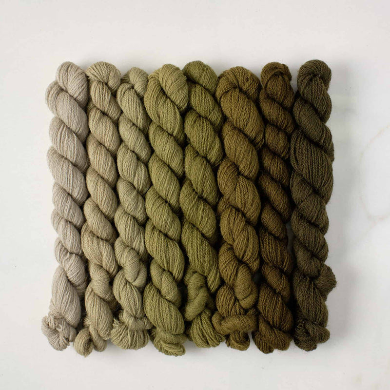 Appletons Wool Yarn - Mid Olive Green 341 - 348 - HM Nabavian
