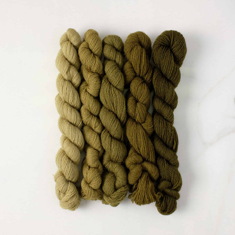 Appletons Wool Yarn - Olive Green 241 - 245 - HM Nabavian