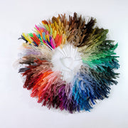 Appletons Wool Yarn Shade Cards - HM Nabavian