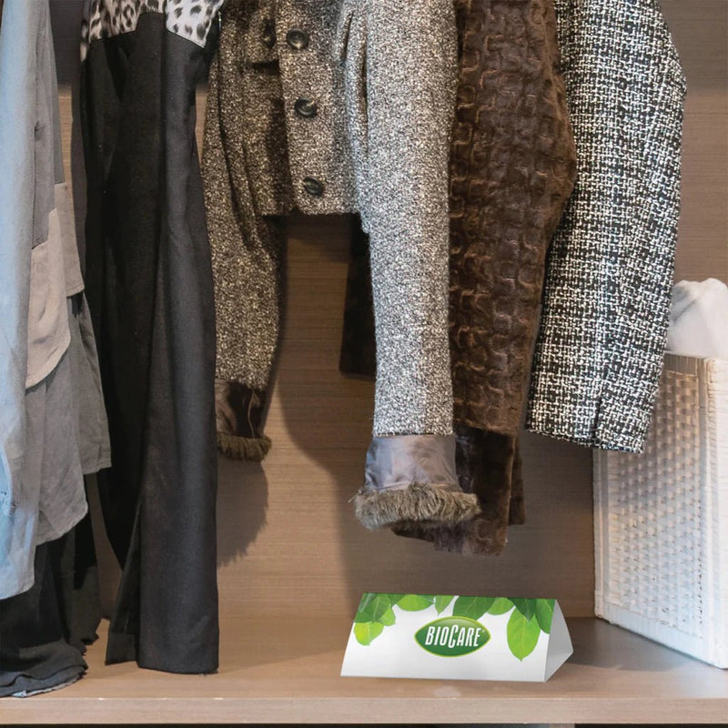 BioCare® Clothes Moth Traps - HM Nabavian