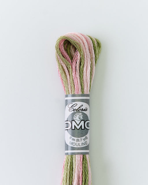 DMC Embroidery Stranded Thread - Coloris - 4500 - Spring Meadow - HM Nabavian