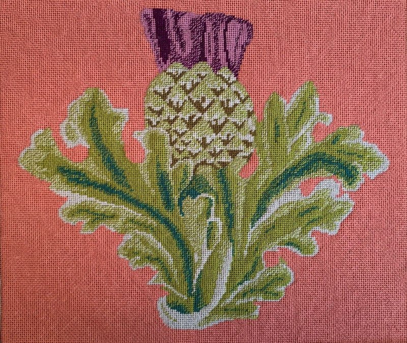 Flanders Needlepoint Kits - Scottish Thistle (Pink) - HM Nabavian