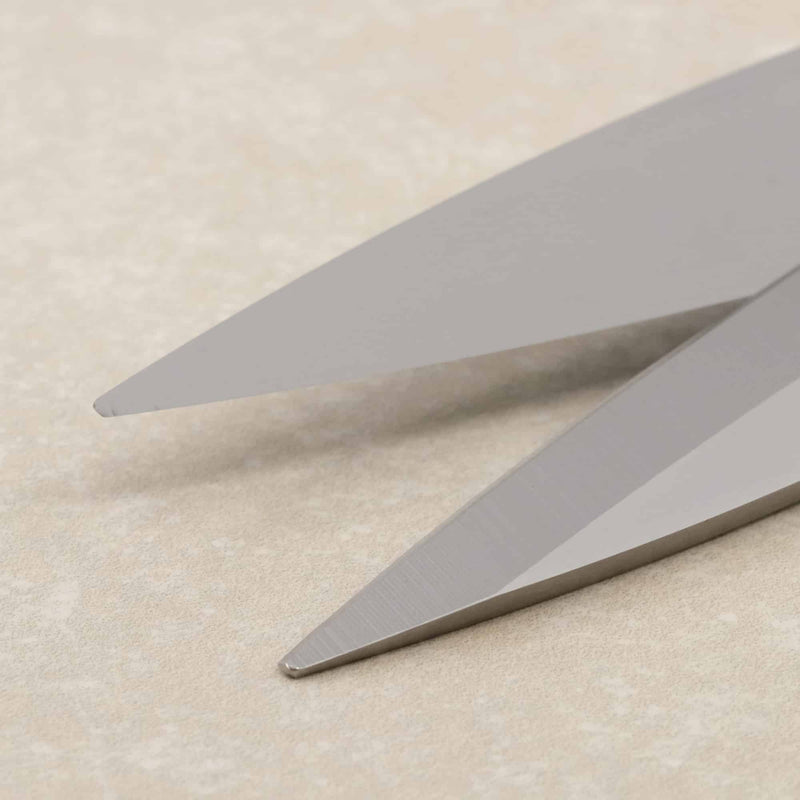 KAI Professional Shears - 12" - HM Nabavian