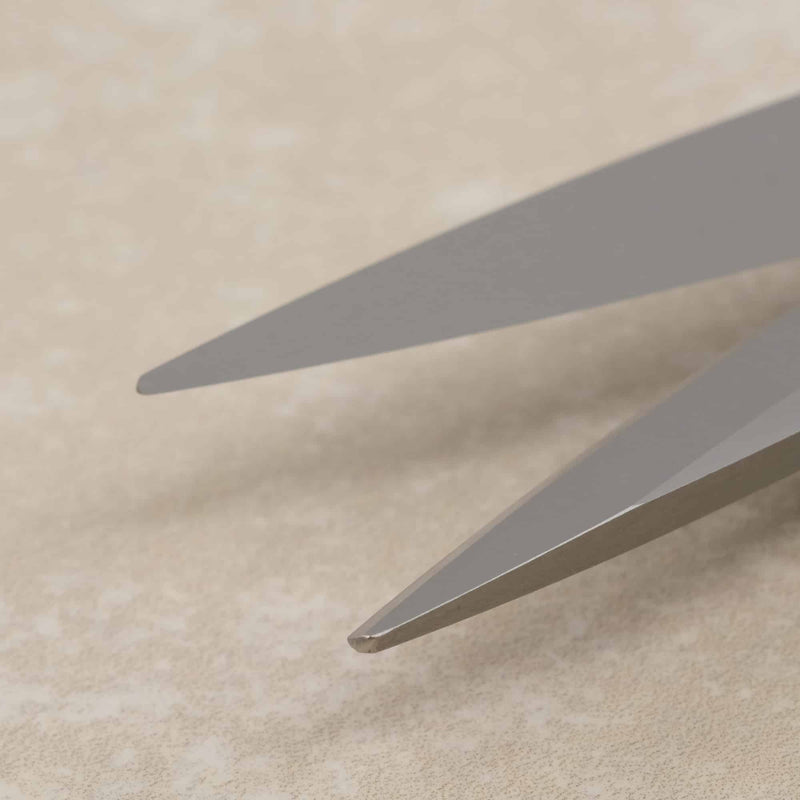 KAI Professional Shears - 8" - HM Nabavian