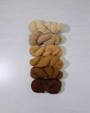 Waverly Wool Needlepoint Yarn - 1161-1166 - HM Nabavian