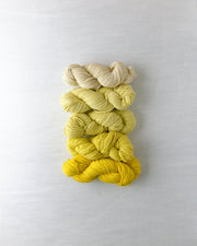 Waverly Wool Needlepoint Yarn - 4061-4065 - HM Nabavian