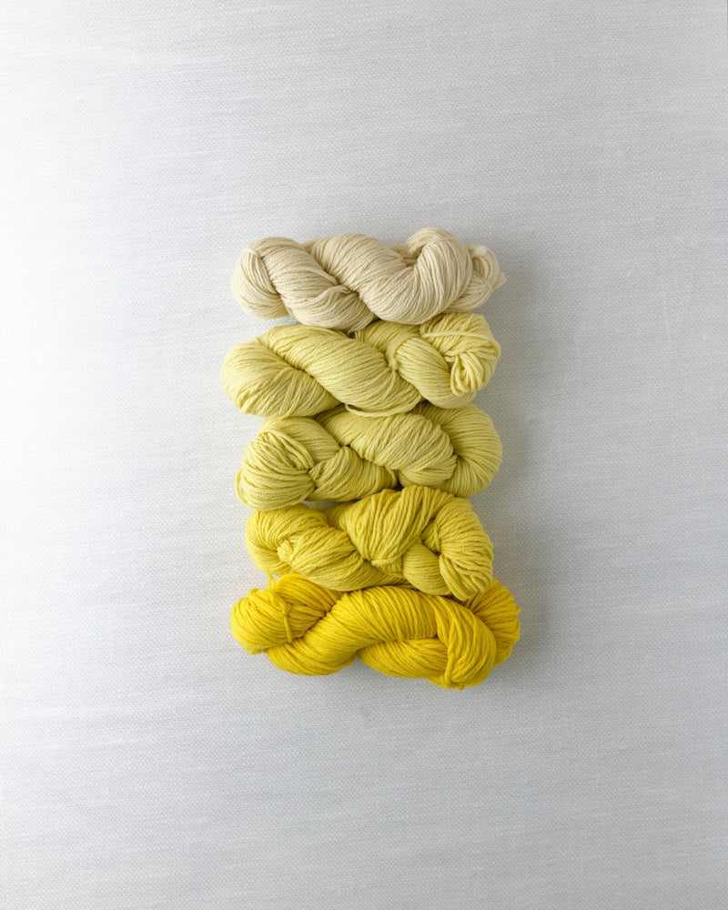 Waverly Wool Needlepoint Yarn - 4061-4065 - HM Nabavian