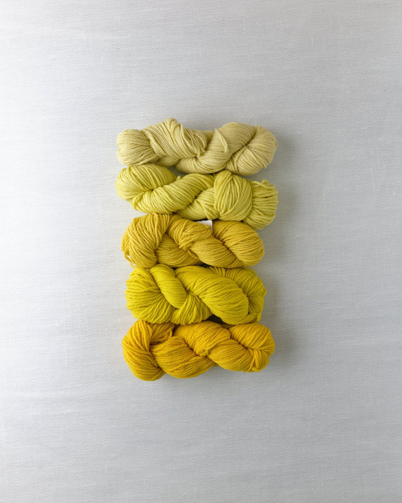 Waverly Wool Needlepoint Yarn - 4081-4085 - HM Nabavian