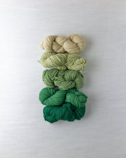 Waverly Wool Needlepoint Yarn - 5021-5025 - HM Nabavian