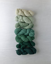 Waverly Wool Needlepoint Yarn - 5061-5067 - HM Nabavian