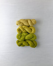 Waverly Wool Needlepoint Yarn - 5071-5074 - HM Nabavian