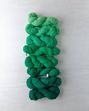 Waverly Wool Needlepoint Yarn - 5081-5088 - HM Nabavian