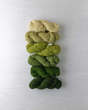 Waverly Wool Needlepoint Yarn - 5091-5096 - HM Nabavian