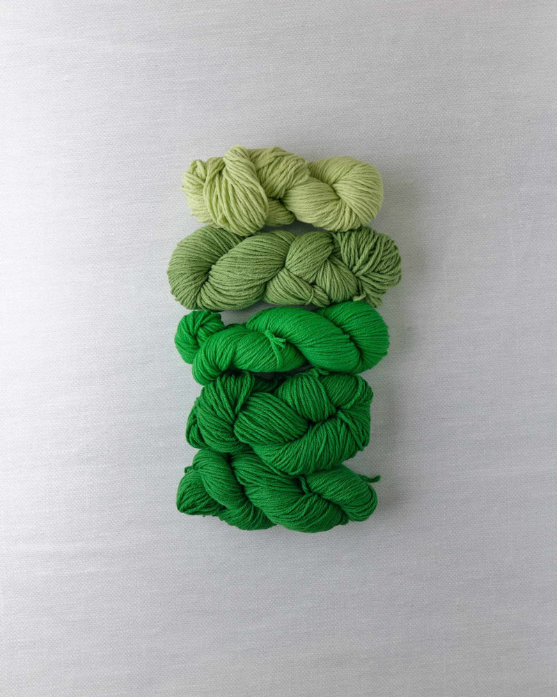 Waverly Wool Needlepoint Yarn - 5101-5105 - HM Nabavian