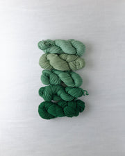 Waverly Wool Needlepoint Yarn - 5121-5125 - HM Nabavian